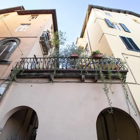 Dimora Del Gallo In Center Town Lucca